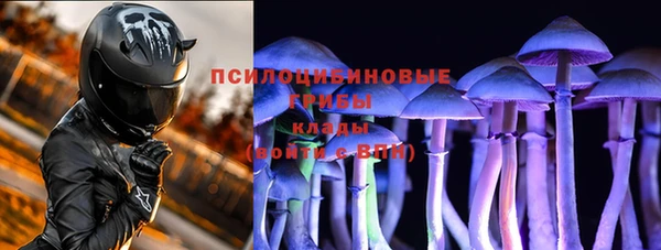 стафф Алзамай