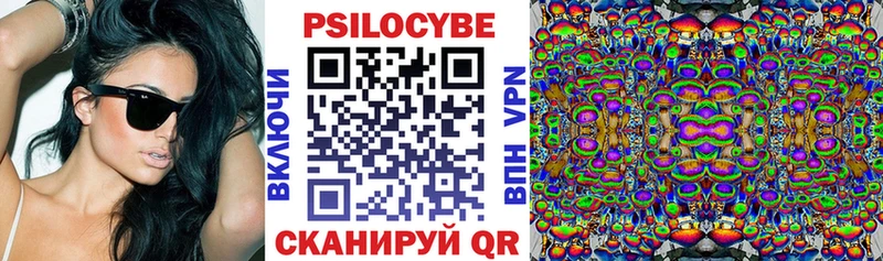 KRAKEN зеркало  Зея  Псилоцибиновые грибы прущие грибы  где купить  