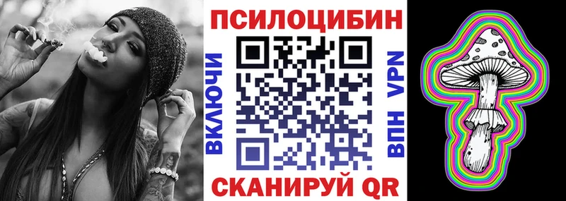 Псилоцибиновые грибы Psilocybe Зея